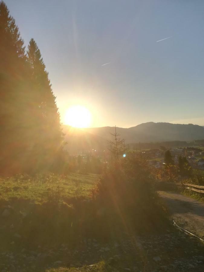 Haus Heckenrose Homestay