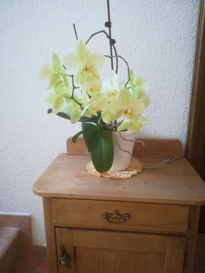Homestay Haus Heckenrose